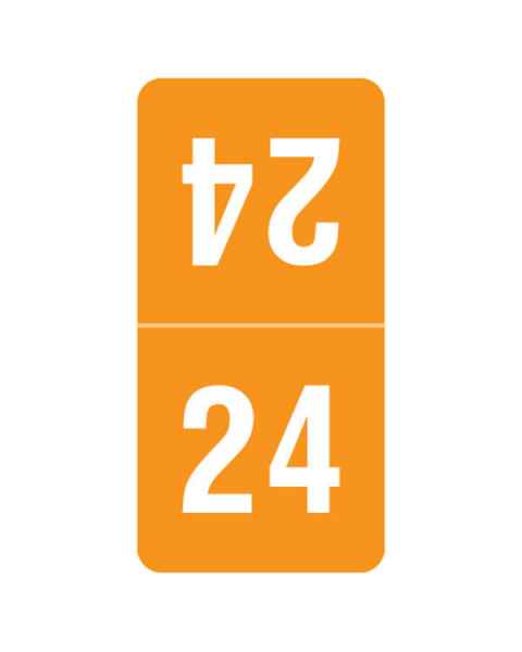 Arden Label TTPK-24 2024 Top-Tab Year Labels - Smead Compatible TTPK Series- Size 1" H x 1/2" W
