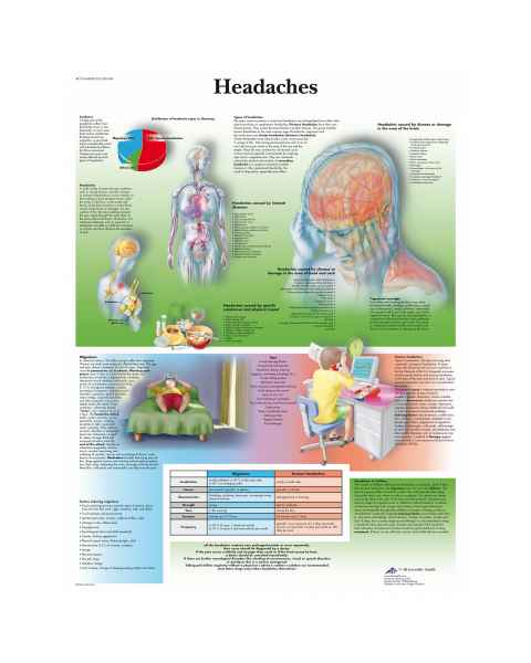 Headaches Chart