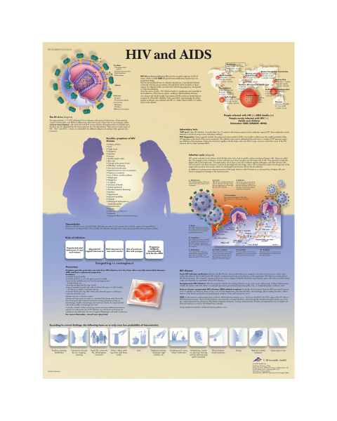 HIV and AIDS Chart