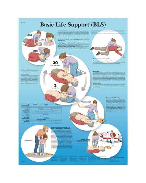 Basic Life Support Chart