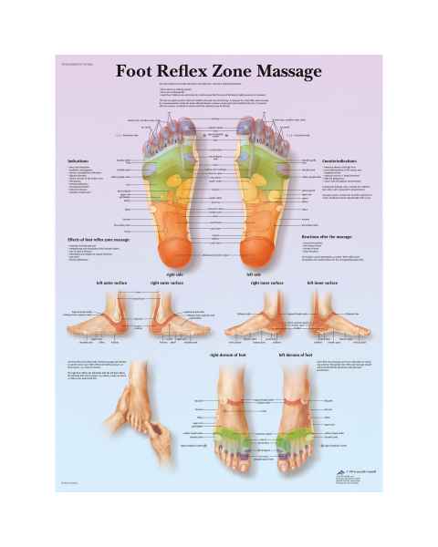 Foot Reflex Zone Chart