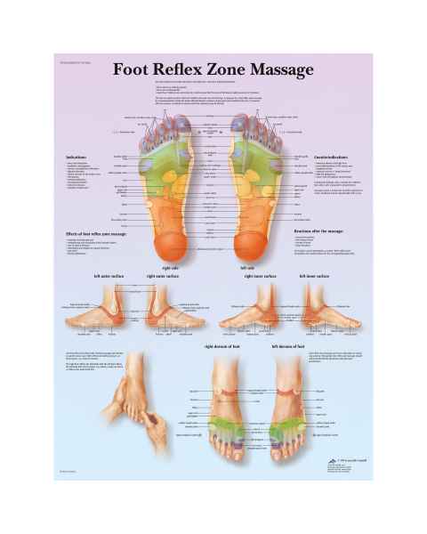 Foot Reflex Zone Massage Chart