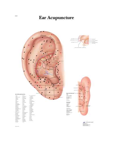 Ear Acupuncture Chart
