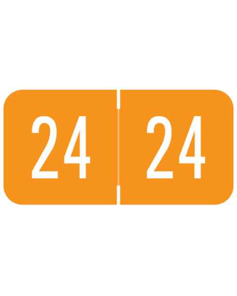 2024 Year Labels - VRE / GBS Compatible - Size 3/4