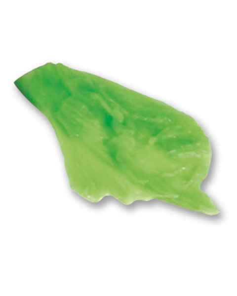 Life/form Lettuce Food Replica - Iceberg