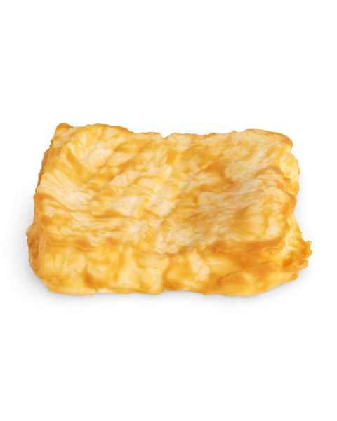Life/form Fish Patty Food Replica - Broiled