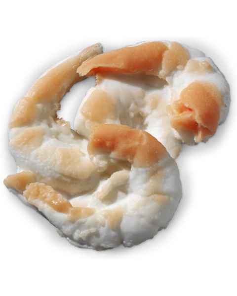 Life/form Shrimp Food Replica