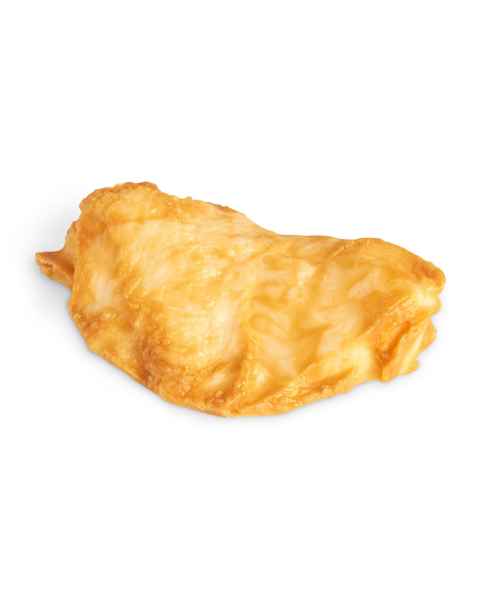 Life/form Chicken Breast Food Replica - Fried