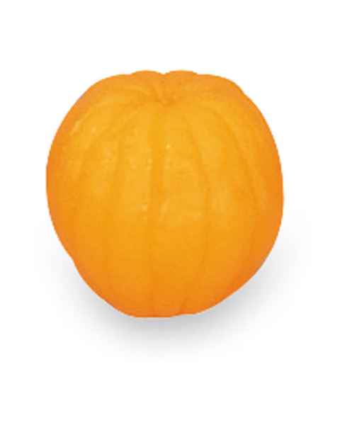 Life/form Orange Food Replica