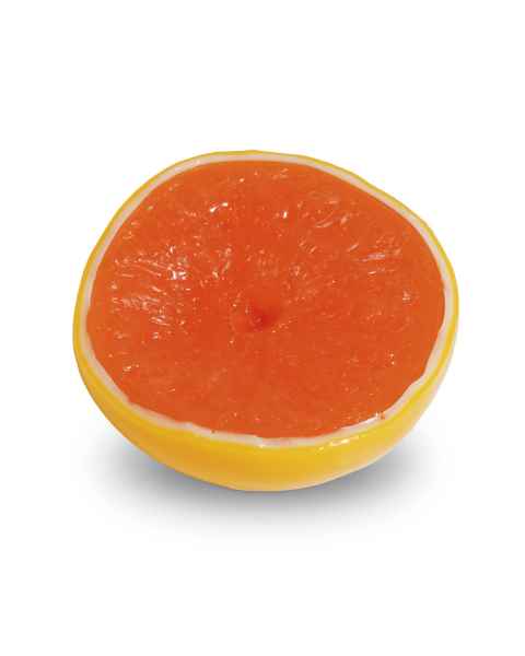 Life/form Grapefruit Food Replica