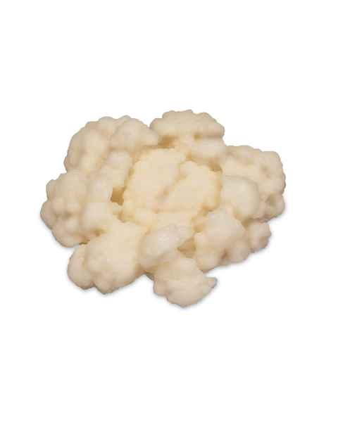 Life/form Cauliflower Food Replica