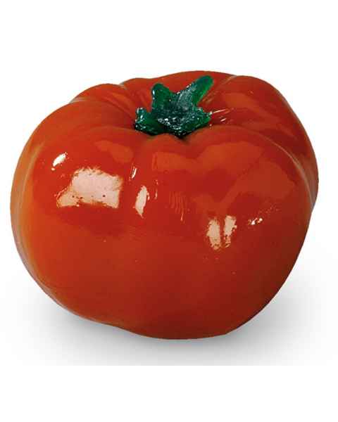 Life/form Tomato Food Replica - Whole