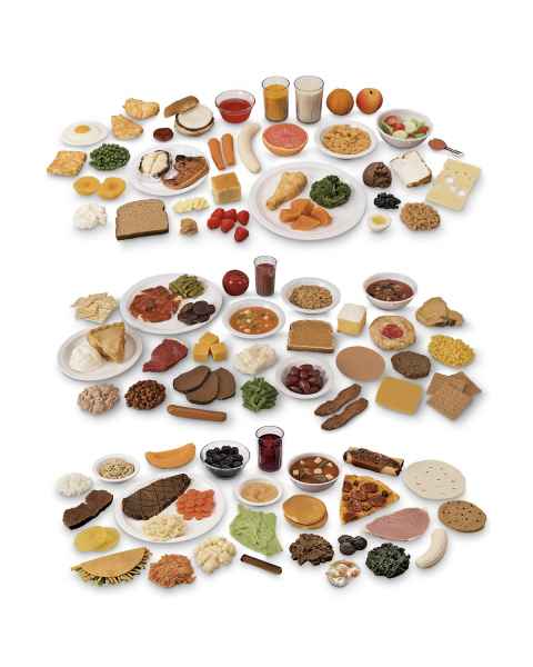 Combined Life/form Food Replica Packages No. 1, 2 and 3
