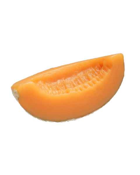 Cantaloupe Food Replica