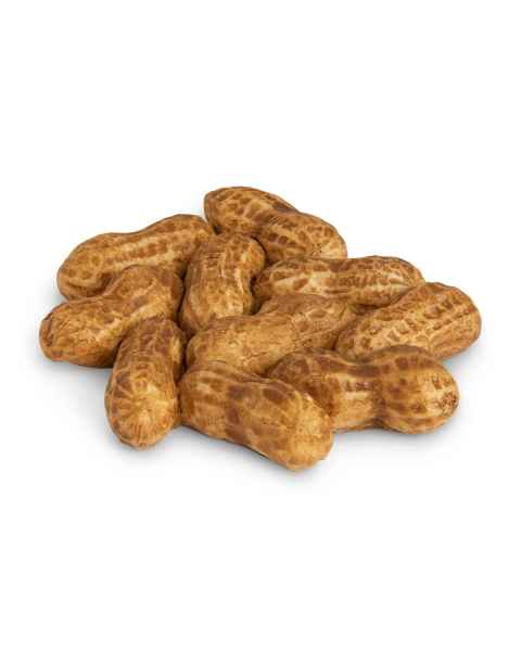 Life/form Peanuts Food Replica