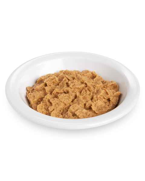Life/form Bran Flakes Food Replica