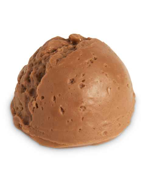 Life/form Ice Cream Food Replica - Chocolate