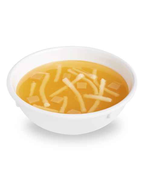 Life/form Chicken Noodle Soup Food Replica