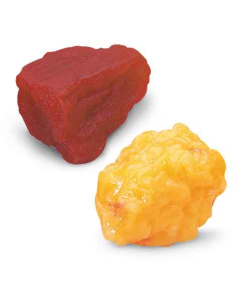 Life/form 1-lb. Fat and 1-lb. Muscle Replicas