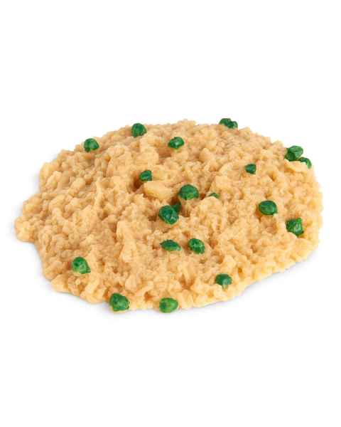 Life/form Rice Food Replica - Fried