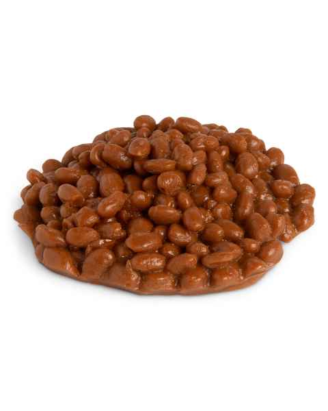 Life/form Beans Food Replica - Baked - 2/3 cup (160 ml)
