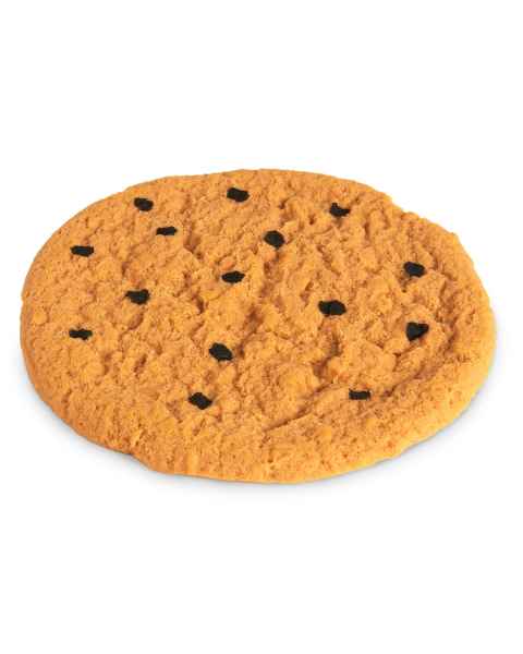Life/form Cookie Food Replica - Chocolate Chip - 4 dia. (10 cm)