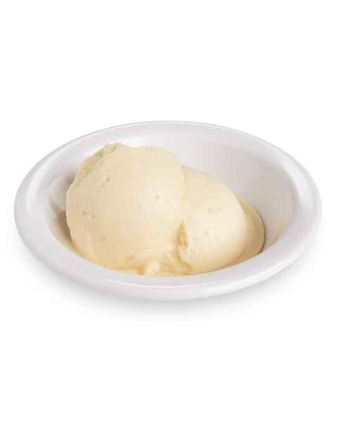 Life/form Ice Cream Food Replica - Vanilla - 1 cup (240 ml)