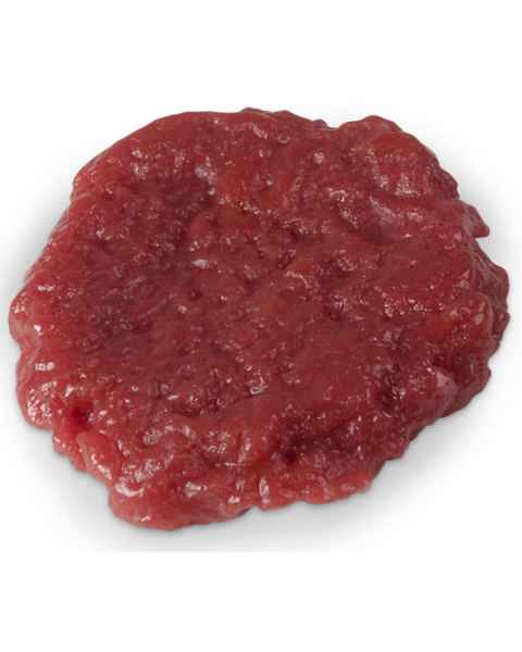 Life/form Ground Round Hamburger Food Replica - Raw