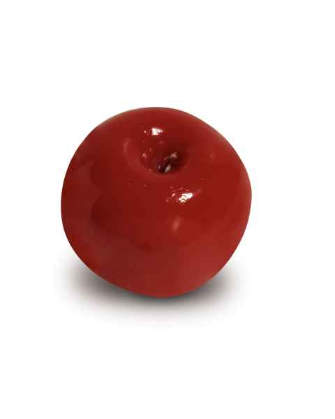 Life/form Apple Food Replica - Whole - Medium