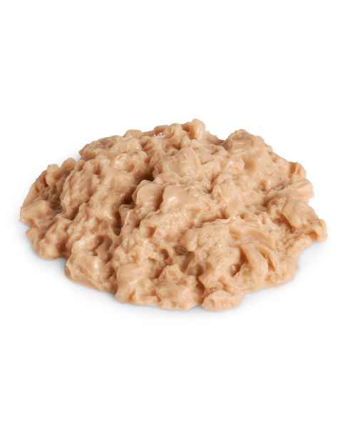 Life/form Tuna Food Replica