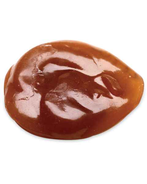 Life/form Honey/Syrup/Gravy Food Replica
