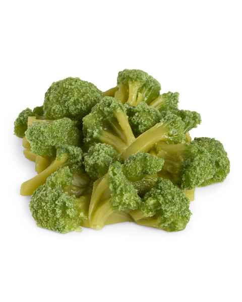 Life/form Broccoli Food Replica - 1 cup (240 ml)