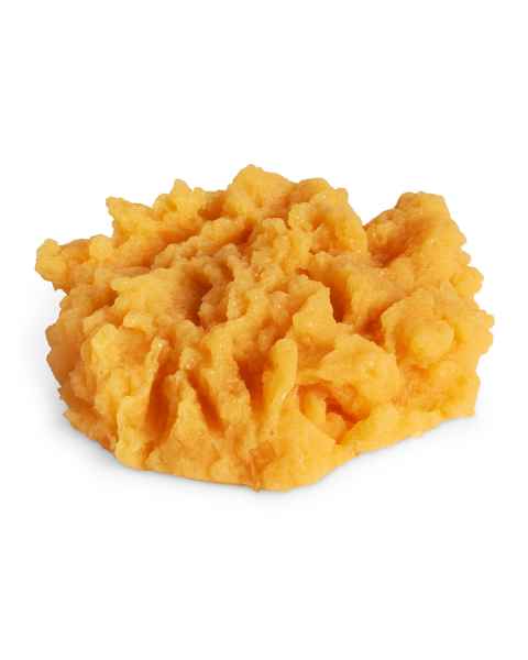 Life/form Squash Food Replica