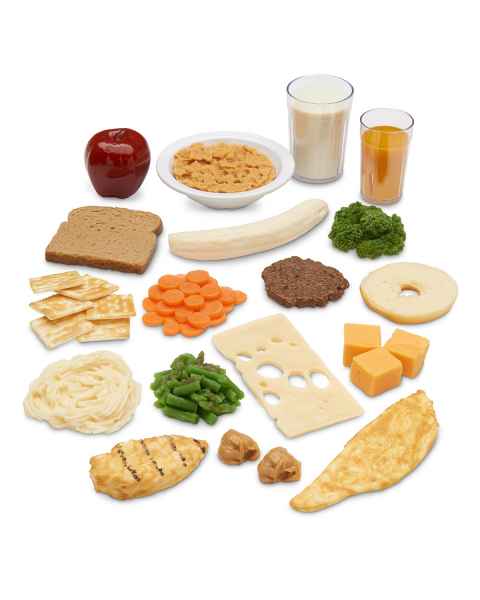 Life/form Rainbow Food Replica Package