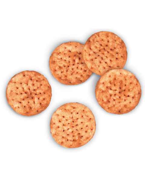 Life/form Crackers Food Replica - Whole Wheat