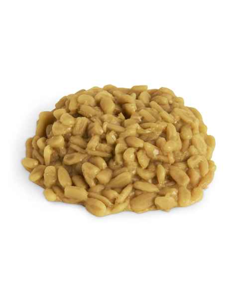 Life/form Sunflower Kernels Food Replica
