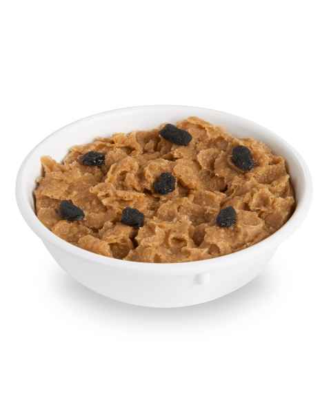 Life/form Raisin Bran Flakes Food Replica