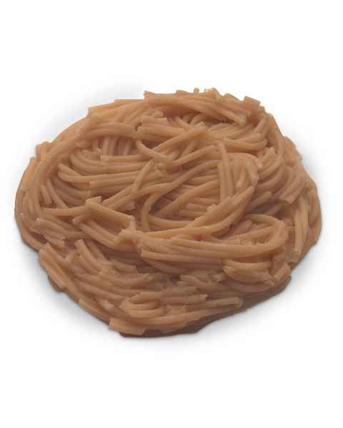 Life/form Spaghetti Food Replica - Whole Grain