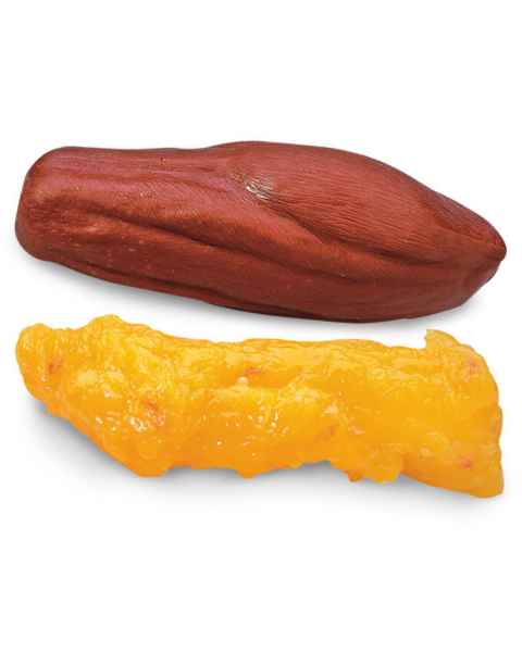 Life/form 5-lb. Fat and 5-lb. Muscle Replicas