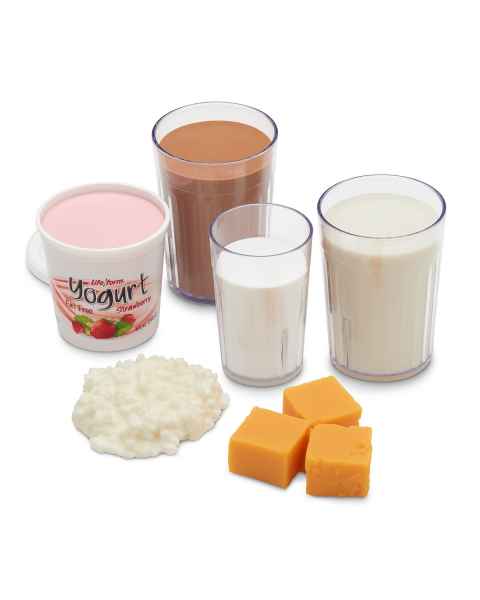 Life/form Basic Dairy Food Replica Kit