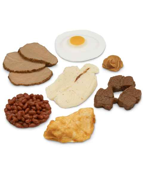 Life/form Basic Protein Food Replica Kit