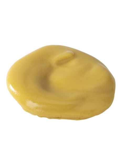 Life/form Mustard Food Replica