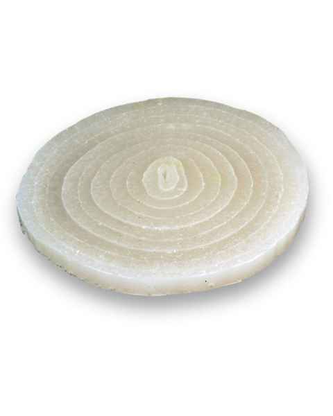 Life/form Onion Slice Food Replica