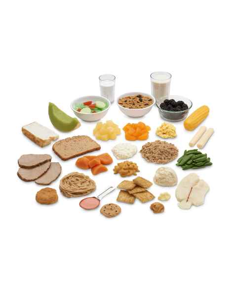 Life/form Common Meals Food Replica Kit