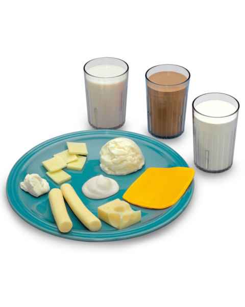 Life/form Big Milk Food Replica Kit