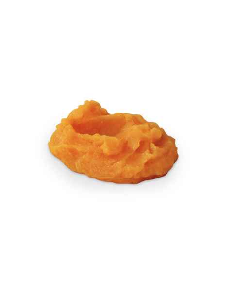 Life/form Sweet Potatoes Food Replica - Mashed