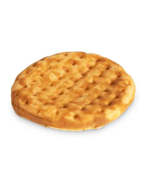 Life/form Flatbread Food Replica - Whole Grain - Round
