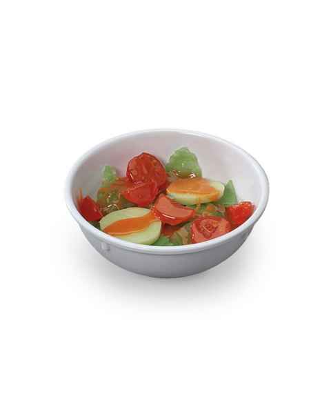 Life/form Salad with French Dressing Food Replica