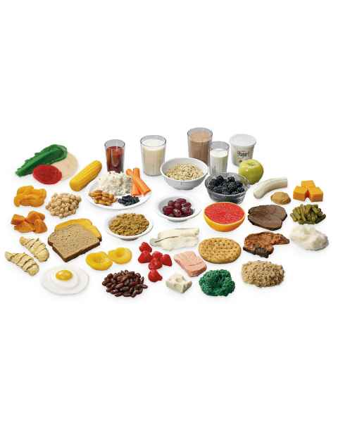 Life/form MyPlate Food Replica Kit