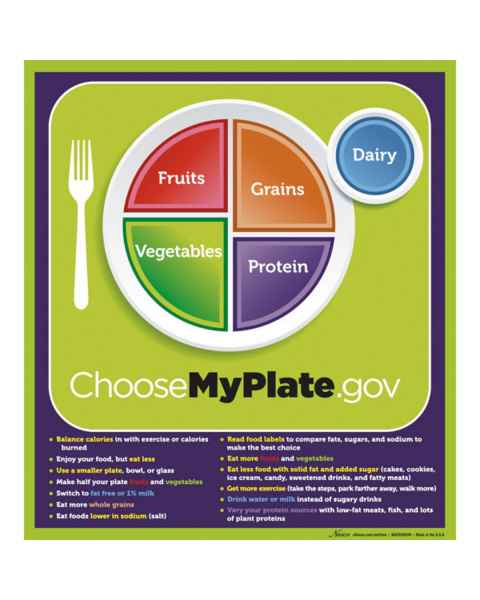 MyPlate Laminated Poster with Key Phrases - 20 x 18